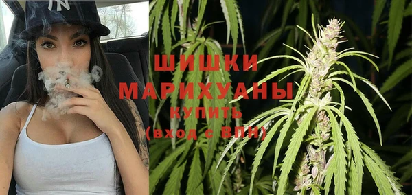 прущие грибы Балахна
