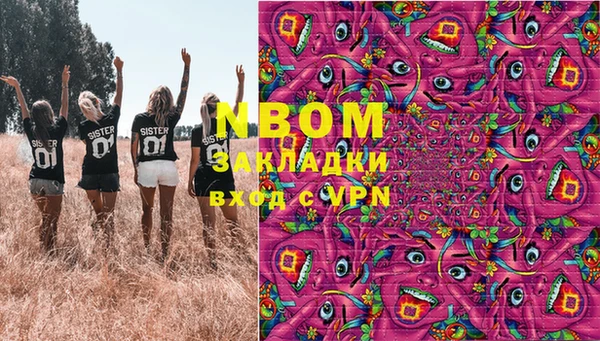прущие грибы Балахна