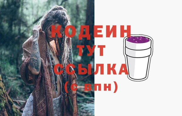 прущие грибы Балахна