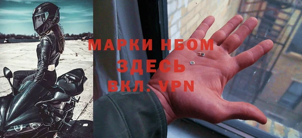 прущие грибы Балахна